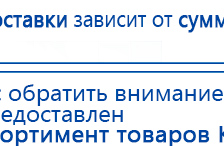 Электрод Скэнар - лицевой двойной Пешки купить в Балашихе, Электроды Скэнар купить в Балашихе, Скэнар официальный сайт - denasvertebra.ru